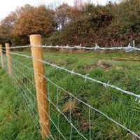 Clôture en treillis métallique galvanisé pour prairies Clôture en fil de fer tissé à nœud fixe pour les champs de bovins, de cerfs, de moutons et de porcs pour usage agricole