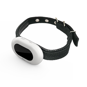 Collier de suivi GPS intelligent 4G LTE étanche pour animaux de compagnie, longue durée de vie de la batterie, pour chiens et chats, fabricant de dispositifs de suivi GPS pour animaux, sans <span class=keywords><strong>abonnement</strong></span> - Product Image 1