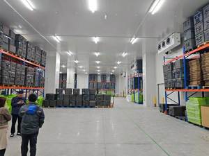 Grote Koude Opslag Project Bouw Hoge Kwaliteit Bevroren Koude Opslag/Koude Ruimte Voor Vlees En Vis - Product Image 6