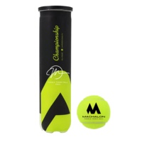 Fabricants professionnels – Nouveau pressuriseur de balles de tennis haute performance sur mesure pour 4 balles avec aiguille et tube – Qualité supérieure