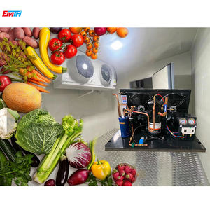 Unité de compresseur ZB <span class=keywords><strong>Series</strong></span>, type ouvert, unité de condensation 4hp R404a, unité extérieure, condenseur et évaporateur pour chambre froide - Product Image 4