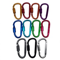 Mousqueton de sport en alliage d'aluminium multifonctionnel HT Factory Supply, 8 cm, verrouillable, en forme de D aplatie, couleur vive, avec longue écrouille, pour l'extérieur