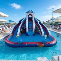 Toboggan aquatique gonflable à trois voies sur le thème des dauphins, en PVC, respectueux de l'environnement, pour enfants, aventure aquatique commerciale