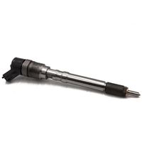 0445110081/ 0 445 110 081 Inyector de Combustible Common Rail, Inyector de Inyección Diesel 0445110231 0445110336 0 445 110 336