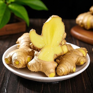 Trang trại phát triển chất lượng cao hữu cơ khô gừng/gừng tươi tất cả tươi chọn, tươi tùy chỉnh bao bì xuất khẩu trực tiếp - Product Image 2