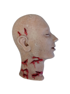 Modelo Anatómico de Cabeza de Silicona Suave de Tamaño Real para Disección Forense con Estructuras Anatómicas Detalladas para Educación Médica Legal - Product Image 6