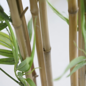 Thiết Kế Mới Nhà Máy Nhân Tạo Phòng Tre Đương đại Nhà Máy Trong Màu Đen/Trắng Gốm Nồi & Đá - Product Image 2