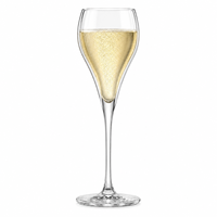 Elegantes Doppelwandiges Unzerbrechliches Langstieliges Weinglas Kristallklares Tulpen-Glas für Hotels Hochzeiten Bankette Bars Fein