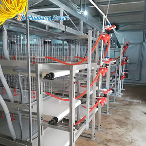 Besleme ve içme sistemi ile otomatik kanatlı ekipman ördek kafesi kanatlı batarya kafesleri - Product Image 5