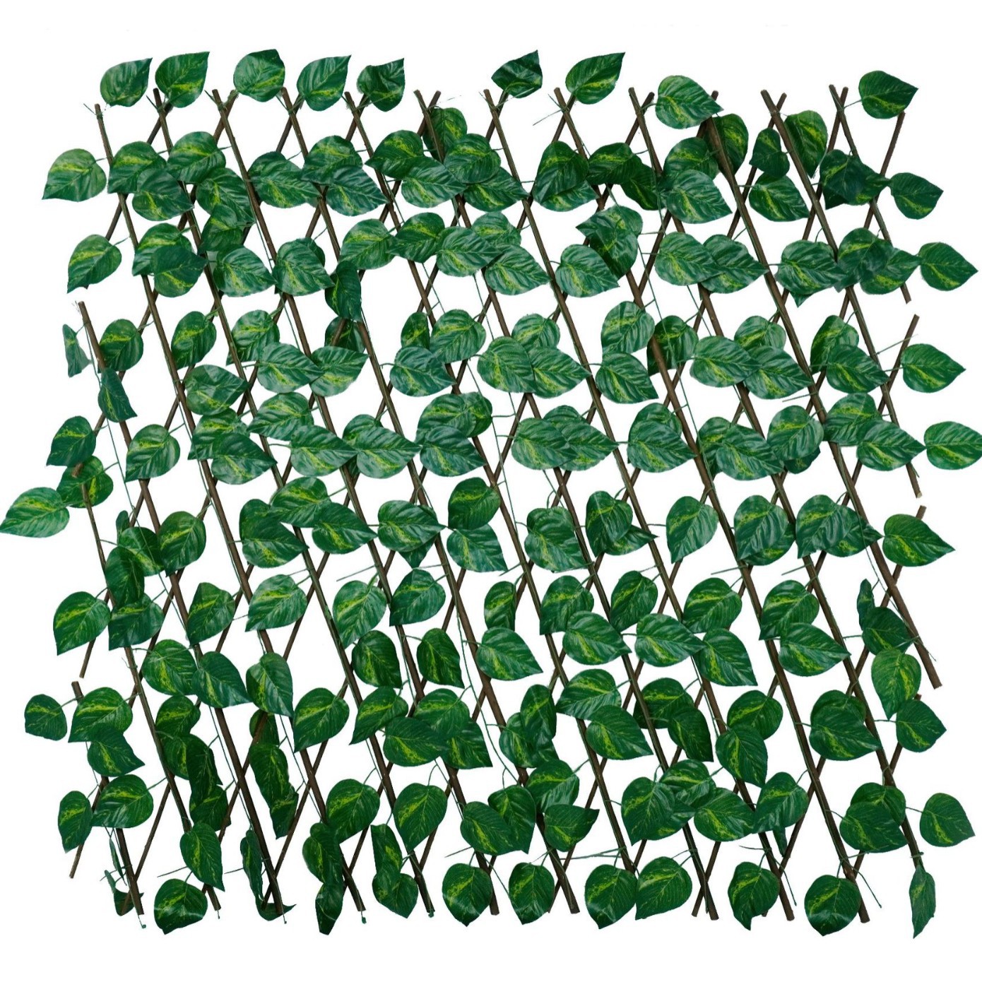 รั้วไม้เนื้อแข็ง 36 แผ่น