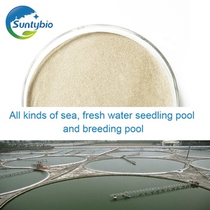 2025 Aditivo Alimentar Probióticos <span class=keywords><strong>Bacillus</strong></span> bactérias compostas para alimentação animal Aditivo Aquicultura Tratamento De Água - Product Image 2