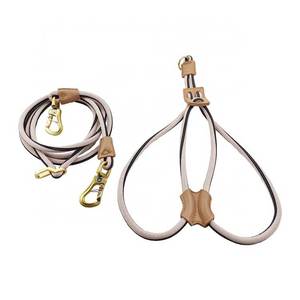 ペット胸ストラップリーシュセット<span class=keywords><strong>2025</strong></span>犬用ハーネス犬用ハーネスとリーシュセット - Product Image 1