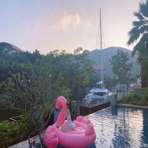 Asiento de bebé personalizado, flamenco inflable para niños, flotadores, barco - Product Image 4