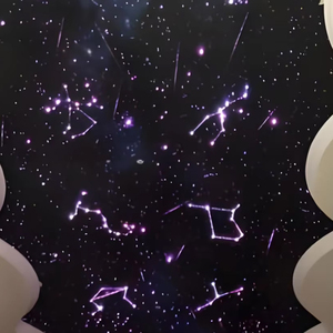 Motore Luminoso per Animazioni 12W con Controllo Tramite App Mobile, Sorgente Luminosa a Stella Cadente a 12 Porte LED Bianche in Fibra Ottica per Soffitti Stellati - Product Image 5