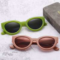 Lunettes de soleil œil de chat de luxe de créateur, monture PC, verres acryliques, protection UV400, petites, tendance, unisexe