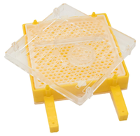 Imkerei-Werkzeuge Neues Jenter Königinnenzucht-Set Bienenköniginnen-Aufzuchtbox-Kit