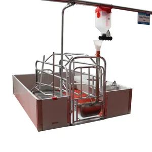Pig breeding equipment 2.5 steel pipe hot-dip galvanized European style sow delivery bed manufacturer