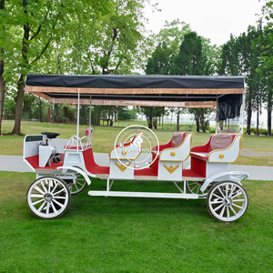 Carroza de Lujo Única de Acero para Caballos, Estilo Europeo, para 8 Personas, Eléctrica, para Paseos Turísticos - Product Image 1