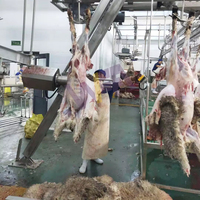 Abattoir Complet pour 150-500 Têtes par Jour, Spécialisé dans la Viande de Chèvre et d'Agneau