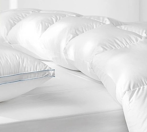 100% bông lông ngỗng xuống <span class=keywords><strong>Comforter</strong></span> Vua Kích thước 750 điền vào điện vừa ấm áp tất cả các mùa Duvet chèn - Product Image 3