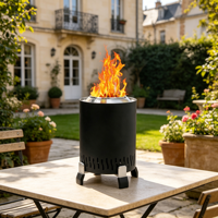 Poêle à granulés de bois poli portable pour intérieur/extérieur, barbecue de camping, foyer sans fumée, installation facile pour patio et jardin