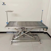 Table d'examen vétérinaire professionnelle en acier inoxydable hydraulique pour animaux de compagnie, instruments vétérinaires