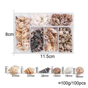 Kit d'accessoires de scène de bijoux de bricolage avec combinaison de pétoncles de petite conque naturelle de style ange Technique de coquillage brut - Product Image 6