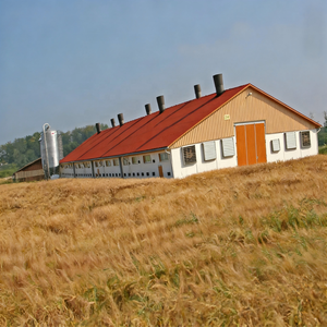 Gallinero Moderno y Estilo Rústico, Estructura Ligera de Acero para Granjas Urbanas y Rurales - Product Image 2