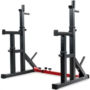 Wellshow Sport Barbell Dip Stand Home Gym Fitness Verstelbare Squat Rack Gewichtheffen Bench Press Dompelen Station
