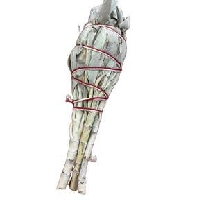 Produits les plus vendus, lot de <span class=keywords><strong>sauge</strong></span> blanche en vrac pour l'encens, <span class=keywords><strong>sauge</strong></span> pour purification - Product Image 1