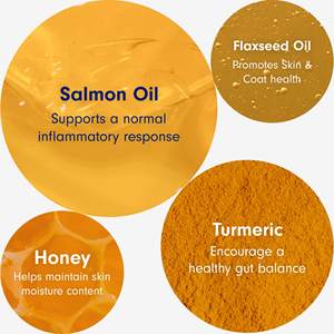 Golosinas para el Alivio de Alergias y Picazón en Perros OEM/ODM - Suplemento para la Piel y el Pelaje con Cúrcuma, Omega 3/6, <span class=keywords><strong>Miel</strong></span> - Mordiscos Suaves Naturales - Product Image 2