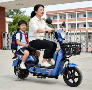 Vélo électrique de ville économique 20AH avec moteur arrière 48V 350W - Product Image 5