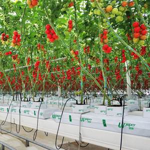 Sacs <span class=keywords><strong>de</strong></span> culture pour plantes en laine <span class=keywords><strong>de</strong></span> roche biodégradable, remplacement du coco peat, pour tomates, fraises, légumes, vente en gros, grande taille - Product Image 2