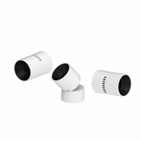 Mini spot LED sans cadre 10W-30W, orientable à 45 degrés, encastré au plafond