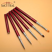Offre Spéciale rouge métal poignée Double tête ongles outils brosse à ongles Liner Gel ovale Ombre 5 pièces Nail Art pinceaux ensemble