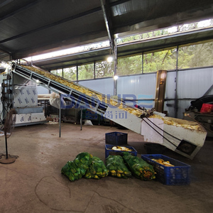 Nouvelle machine de déshydratation à bande transporteuse en maille pour bergamote, équipement de découpe et de séchage de bergamote - Product Image 2