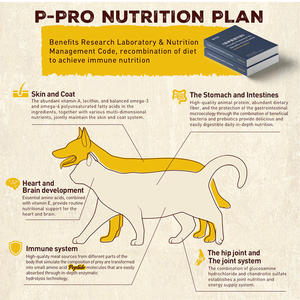 Toptan fiyat kuru yavru ve çin'den kedi maması tahıl köpekler ve kediler için ücretsiz 2kg standart torbalarda paketlenmiş - Product Image 2