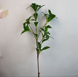 Foglie Artificiali di Pieris Japonica (Campanula) Eco-Friendly per Decorazione Albero di Ringraziamento, Alta Simulazione, Vendita all'Ingrosso per Sala Espositiva - Product Image 6