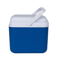 Glacière portable 8L Mini glacière isotherme Boîte à glace pour le camping en plein air Pique-nique Voiture 48H de rétention de la glace Boîte à glace pour aliments