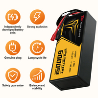 Batterie de drone 9 pouces 6000mAh 6S 22.2V 75C, cellule Li-ion rechargeable haute capacité, directement de l'usine, pour avion RC et FPV industriel