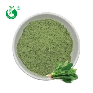 Pincredit Wholesale Bulk Organic Green Food No Additives Vegetable Spinach Powder