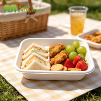 Boîte rectangulaire en bagasse 900 ml 30 oz, contenant alimentaire jetable biodégradable, résistant à l'huile et à l'eau, pour salades et frites
