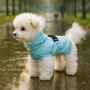 PETCIRCLE - Product Image 1
