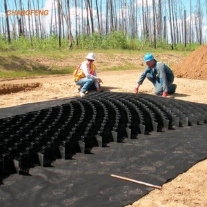Cellular confinement SYSTEM 50mm ลาด stabilization กรวด Grid geocell สำหรับถนนรากฐานที่จอดรถ - Product Image 4