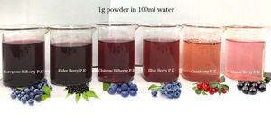 Extrait de poudre de <span class=keywords><strong>cassis</strong></span> naturel 100% 5%, 15%, 25% anthocyanidines - Product Image 4