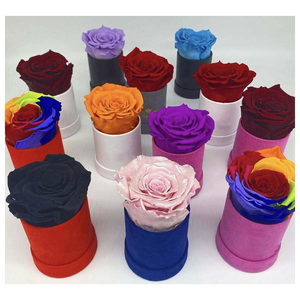 Regalo de Rosa preservada regalos novedosos para <span class=keywords><strong>san</strong></span> <span class=keywords><strong>valentin</strong></span> regalos para mujer <span class=keywords><strong>san</strong></span> <span class=keywords><strong>valentin</strong></span> regalos para <span class=keywords><strong>san</strong></span> <span class=keywords><strong>valentin</strong></span> 2023 - Product Image 4