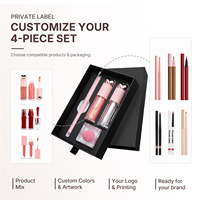 Set Rias Bibir 4-in-1 Vegan Tahan Air Berpigmen Tinggi Organik Tahan Lama Kosmetik Kustom Label Pribadi Lip Gloss Lip