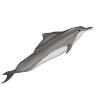 Modèle de dauphin gonflable personnalisé