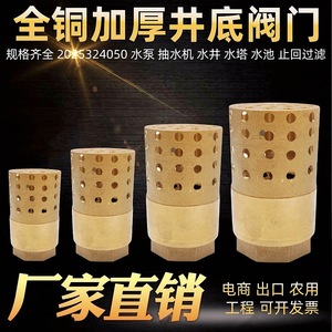 Vanne de retenue en laiton 1 pouce pour pompe à eau, vanne de fond avec filtre, vanne unidirectionnelle pour machine de pompage de puits - Product Image 2