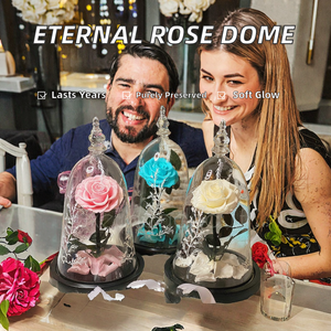 Rose éternelle préservée au toucher réel, longue durée (3-5 ans), sous cloche en verre, décoration pour la Saint-Valentin - Product Image 6